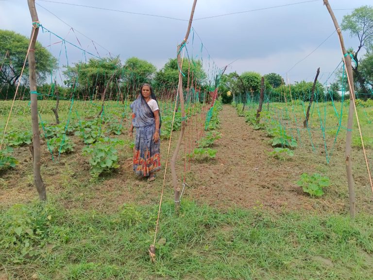 Scaffolding Farming Benefits Women Farmers